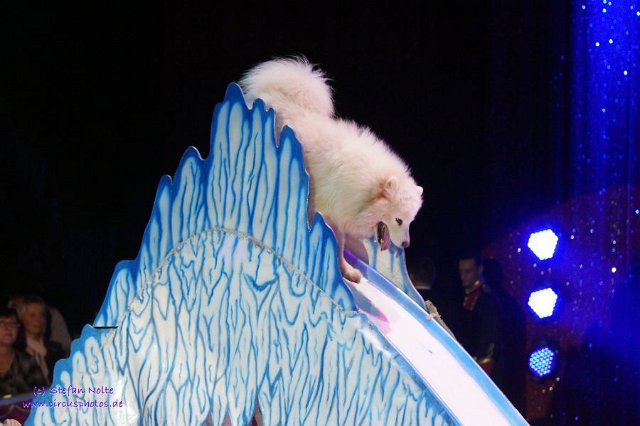 0058Heilbronner Weihnachtscircus2012(c)Stefan Nolte-www.circusphotos.de resized resized